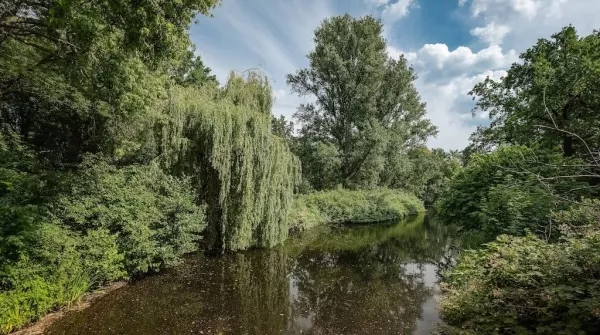 Tiergarten Berlin
